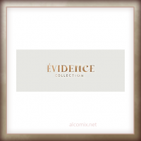 Evidence (Эвиденс) Evidence (Эвиденс)
