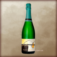 Cava Montsarra Brut Nature 0,75L (Шампанское Кава Монтсарра Брют Натюр 0,75л)